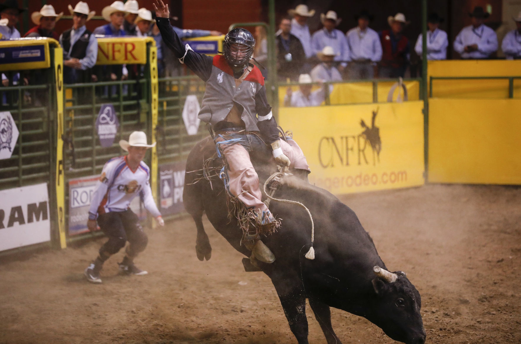 CNFR - Tuesday